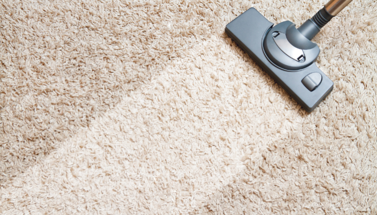 Top 10 Best Carpet Cleaners That Will Make Your Carpet Look Brand New